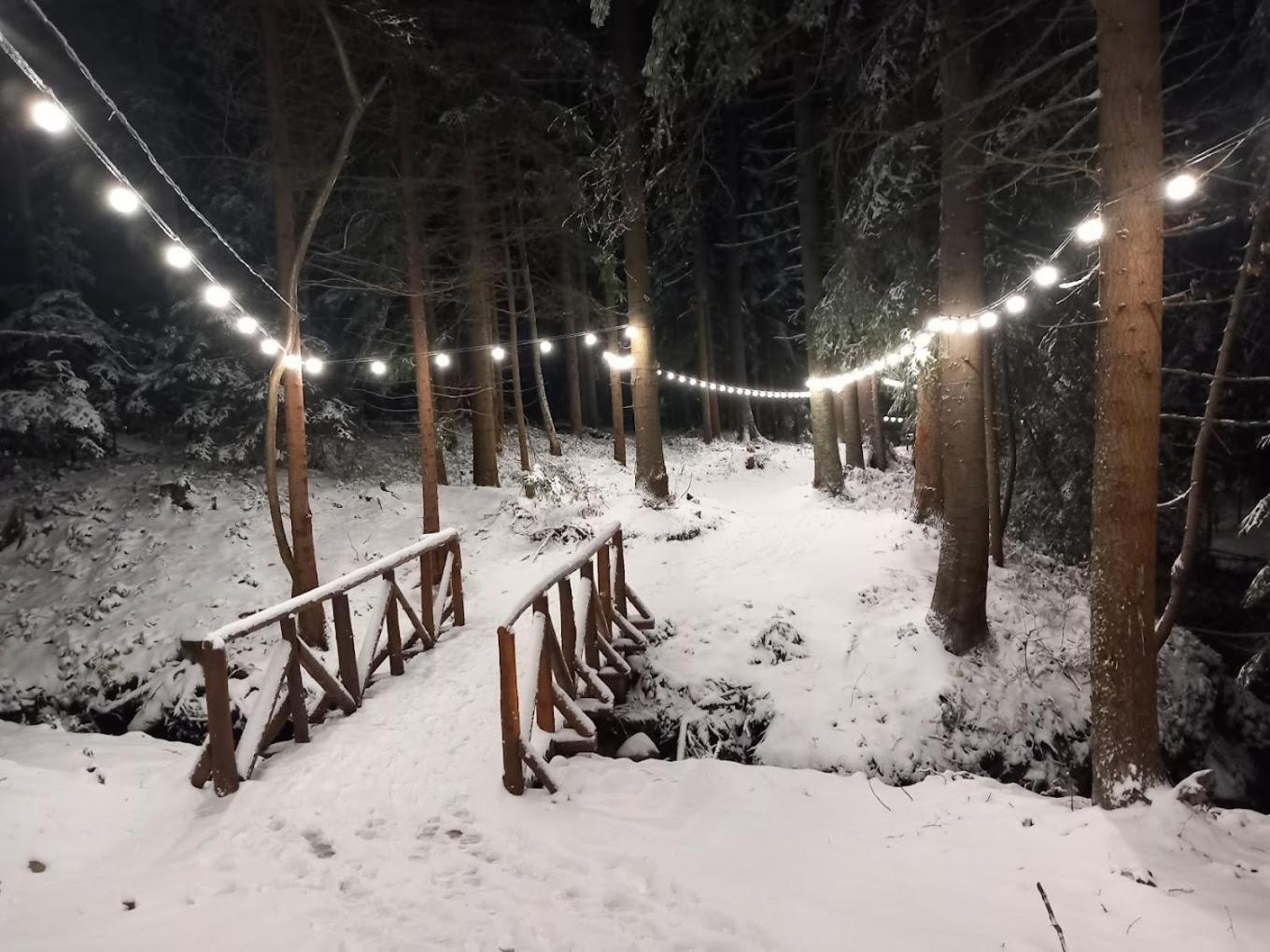 Mountain Studio Asp E63 Borovets Gardens Exteriör bild