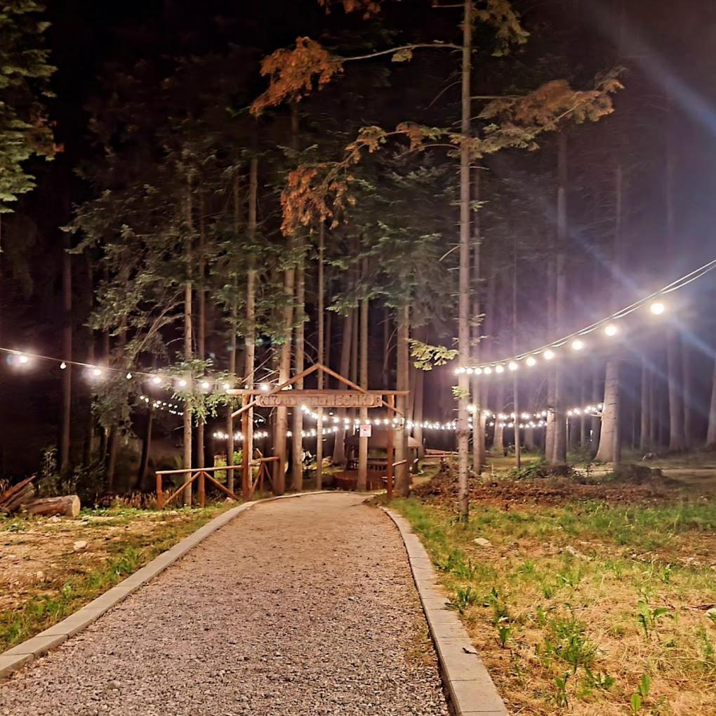 Mountain Studio Asp E63 Borovets Gardens Exteriör bild